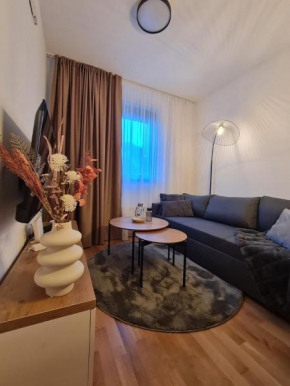 Maxx Apartmani Obucina Kapije
